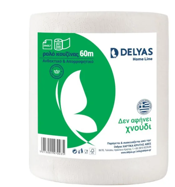 DELYAS kitchen roll 60m