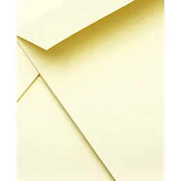 PROCUVERTO Kraft