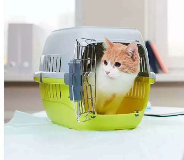 MEDICAL
