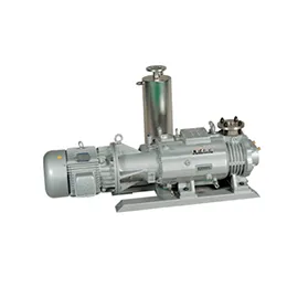 Dry Screw Pumps