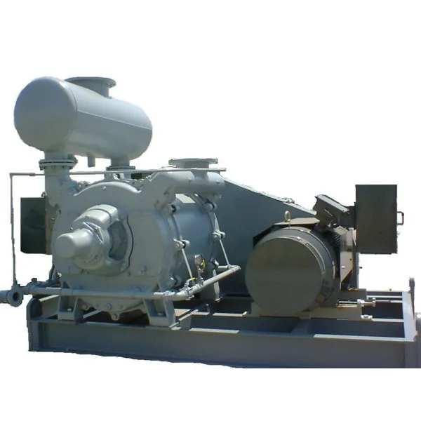 Liquid Ring Vacuum Pumps