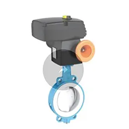 PTFE Valves