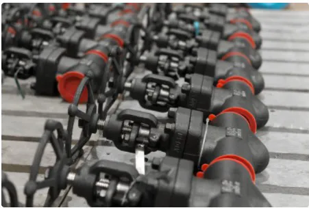 Forged Valves