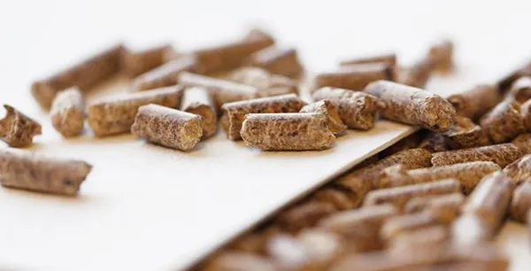 Bioenergy
