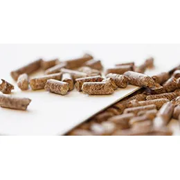 Bioenergy