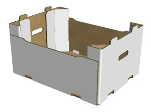 Ready to use Box for Fresh Products Open Top type