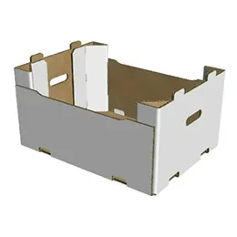 Ready to use Box for Fresh Products Open Top type