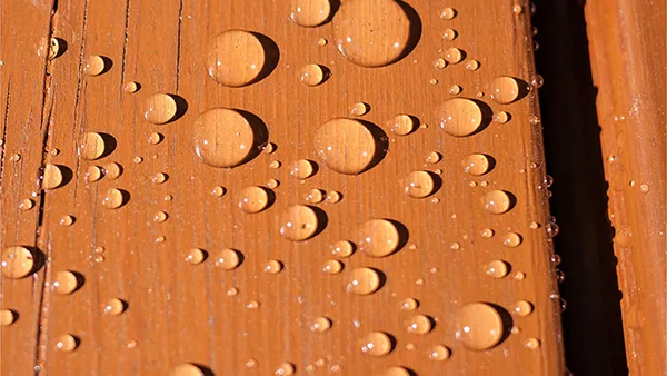 Coatings, Adhesives, Sealants and Elastomers