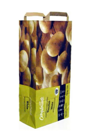 Paper bags with handles