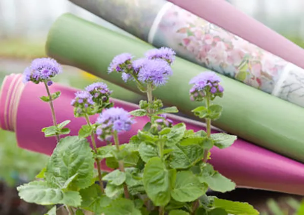 Flower papers
