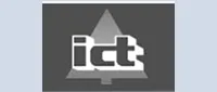 Consumer Brand