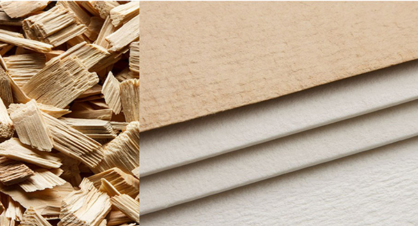 Wood Pulps - Paper and Viscose Grades