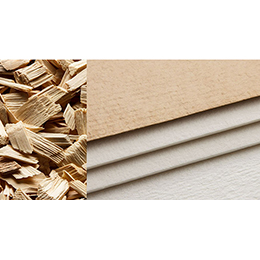 Wood Pulps - Paper and Viscose Grades