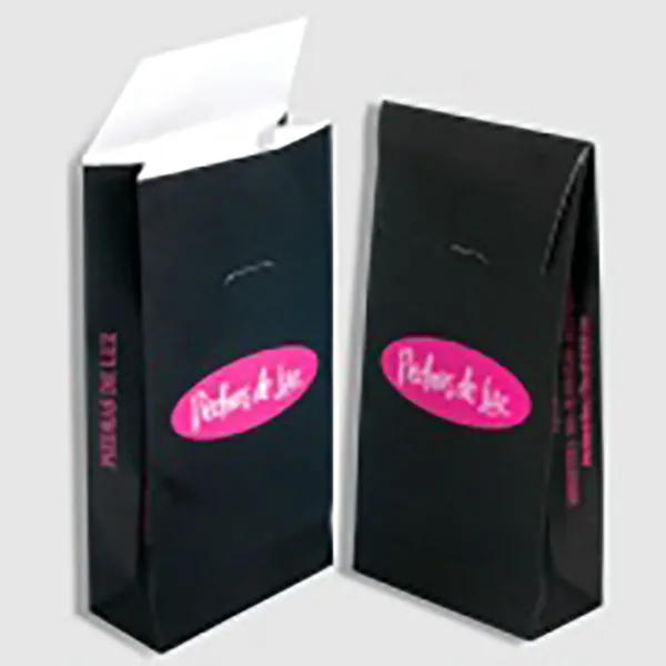 Paper Bags with Envelope Flap