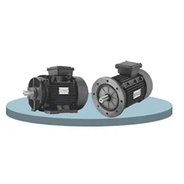 PREMIUM INDUCTION MOTOR