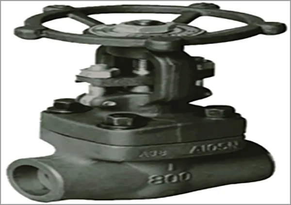 Forged Steel Gate Valves