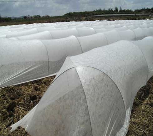 Agriculture Non Woven Fabric