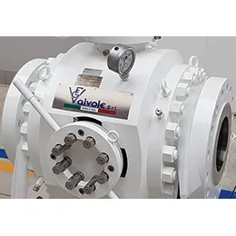 PIG VALVES