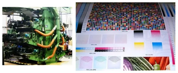 Roll to Roll flexographic Printing