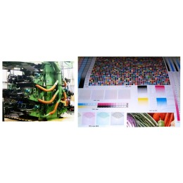 Roll to Roll flexographic Printing