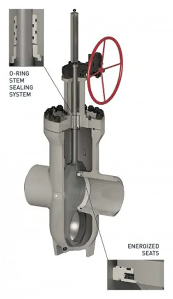 Through Conduit Bolted Bonnet