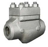 Lift Check Valve (NRV)