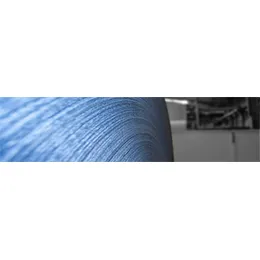 Tissue Parent Reels