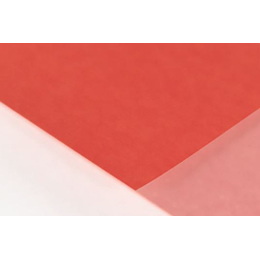 Tangy Orange Envelope (Pop-Tone)
