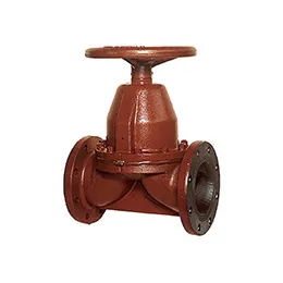 Check valves