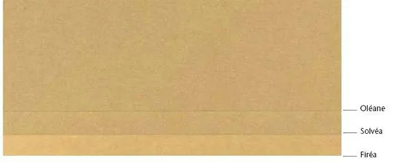 SPECIALITY PAPERS