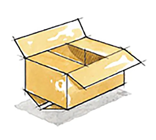 Regular Slotted Container (RSC)