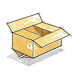Regular Slotted Container (RSC)