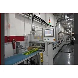 HUDSON SHARP 600PA POUCH MACHINE