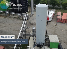 BIO-SULFURIX™ Biogas Valorization