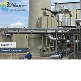GASODRIX™ Biogas Valorization