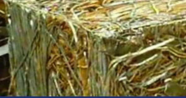 INDUSTRIAL BALERS