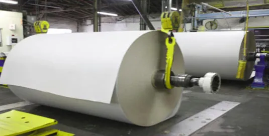 Coated Paperboard