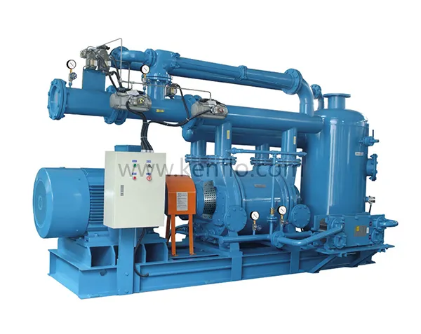 Liquid ring vacuum pump