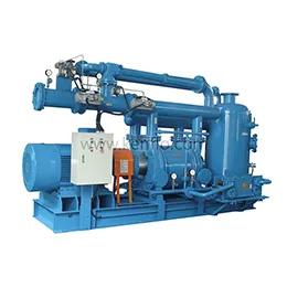 Liquid ring vacuum pump