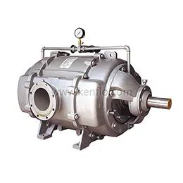 SK (2yk) series of water ring vacuum pumps