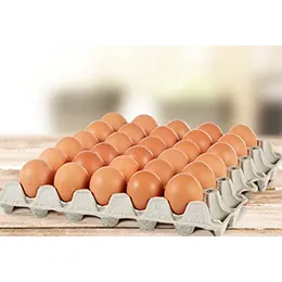 Trays