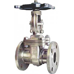 INVESTMENT CASTING GATE VALVE CLASS 300 BOLTED BONNET