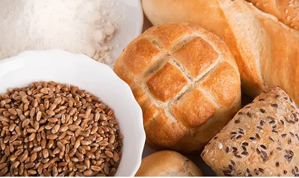 Food Process Packaging