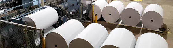 Specialist papers