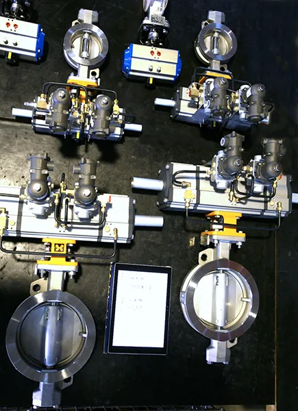 Intelligent Control Valve