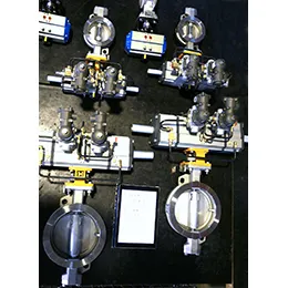Intelligent Control Valve