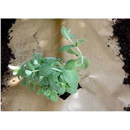 AGRICULTURAL PAPER MULCH