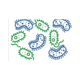 Bacterial Control