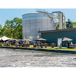Solutions for pulp & paper Industry