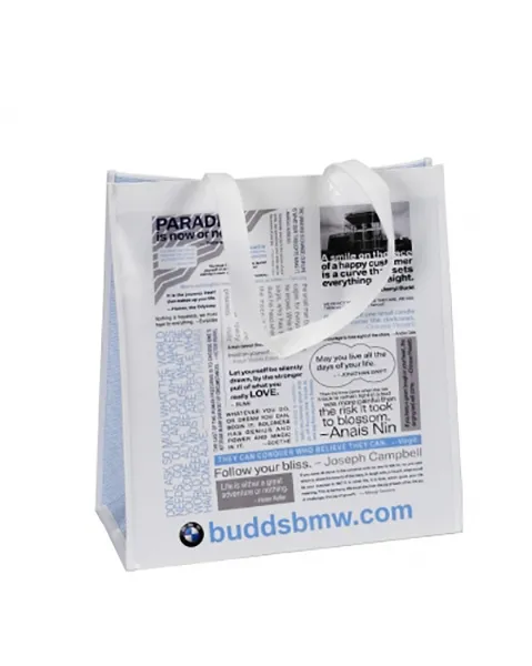 Laminated Non-Woven PP Reusable Bags